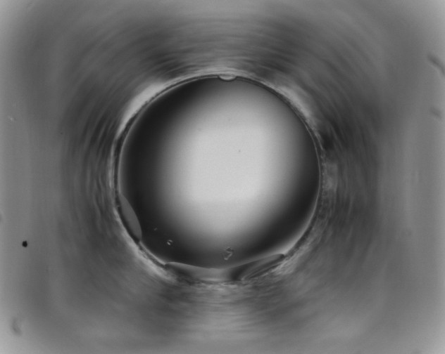 X0000098220910200804241341