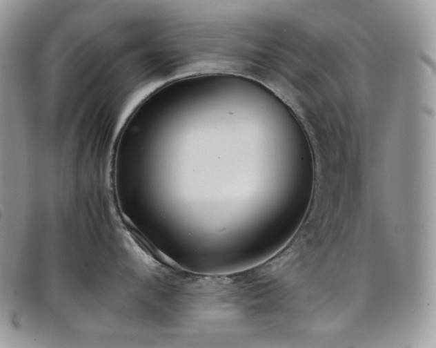 X0000098220912200804241341