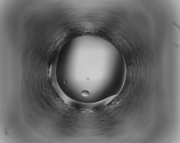 X0000098220916200804241340