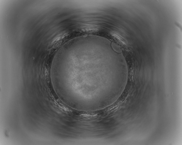 X0000098220917200804241340