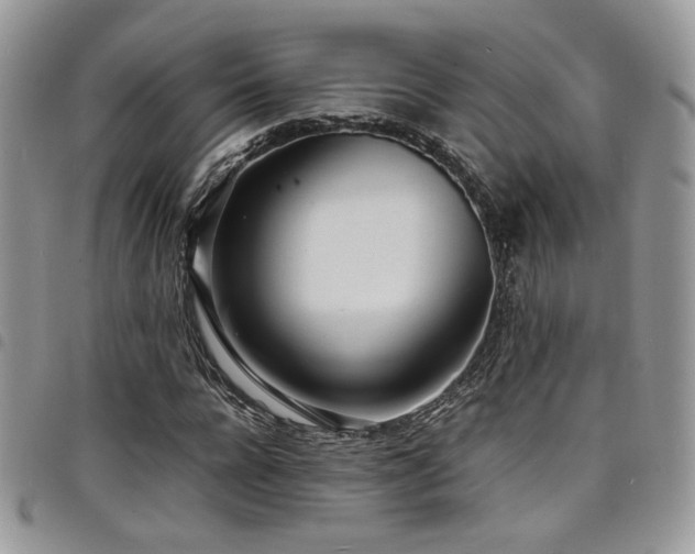 X0000098220920200804241340