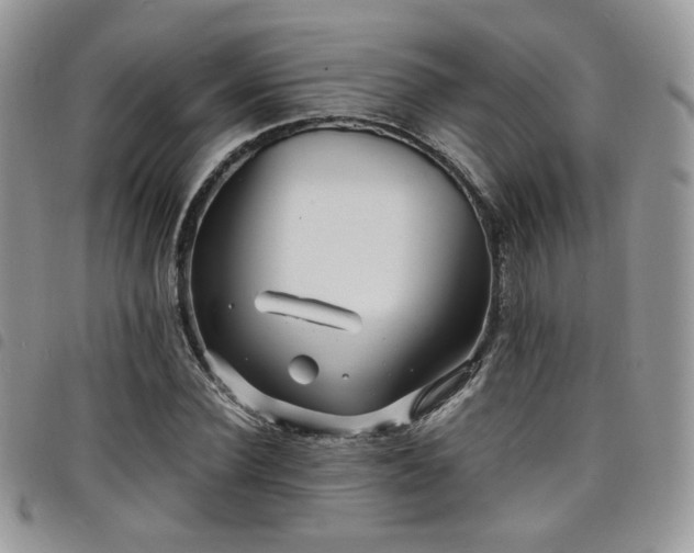 X0000098220924200804241340