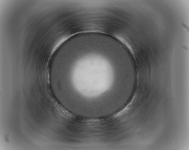 X0000098220925200804241340
