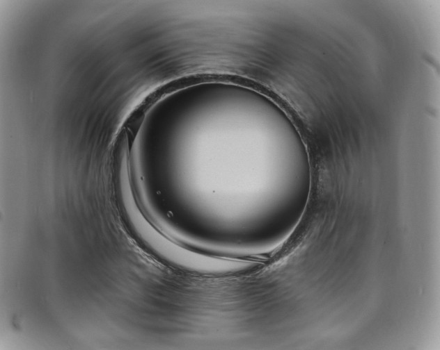 X0000098220926200804241340