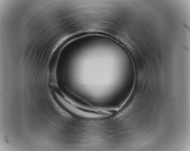 X0000098220934200804241340