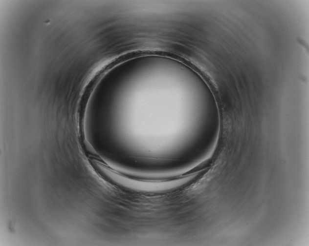 X0000098220935200804241340