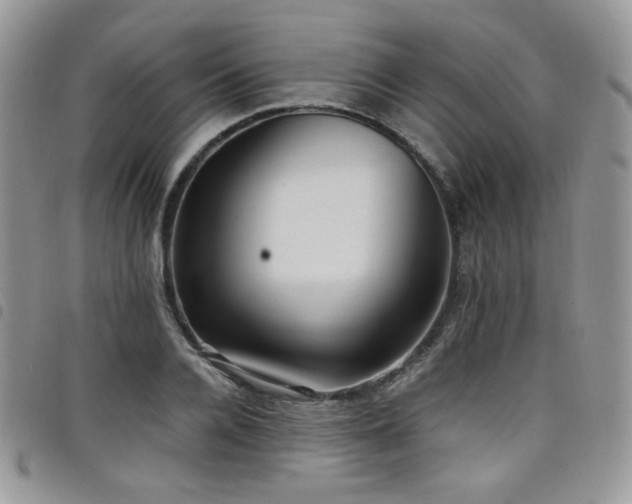 X0000098220936200804241340