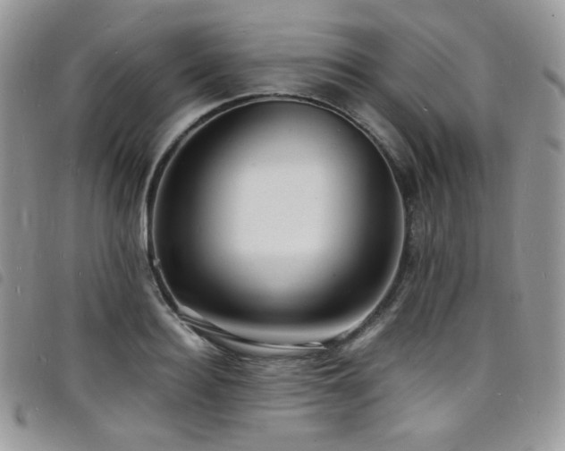 X0000098220940200804241340