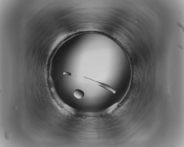 X0000098220942200804241340