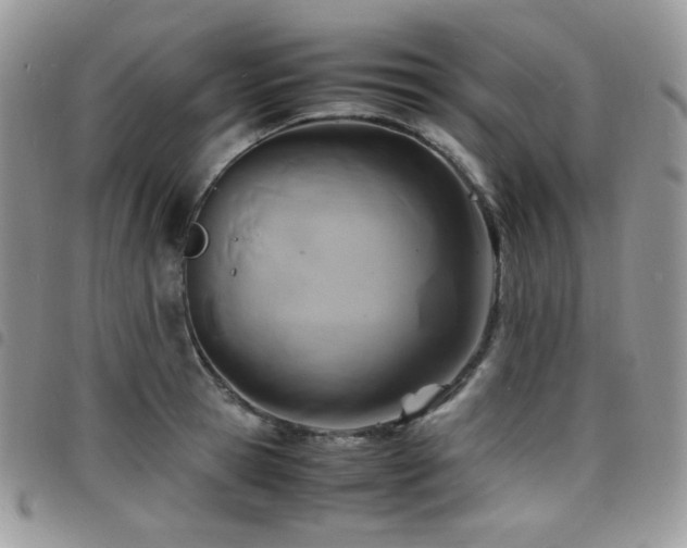 X0000098220945200804241340