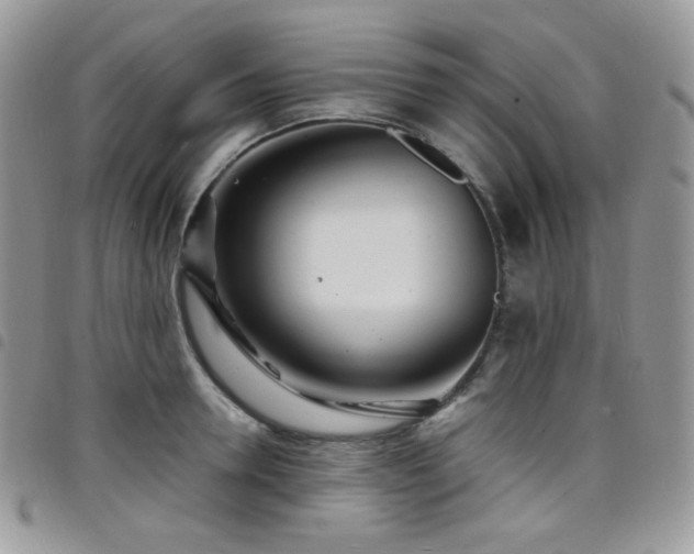 X0000098220946200804241341
