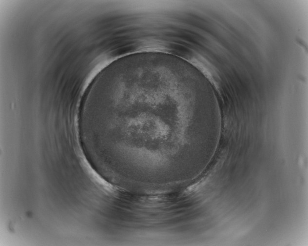 X0000098220947200804241341
