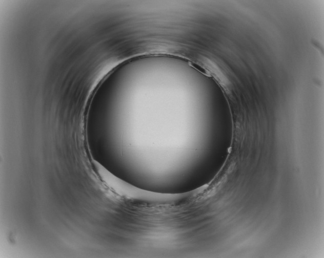 X0000098220948200804241341