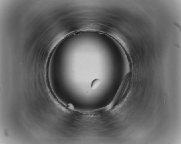 X0000098220949200804241341