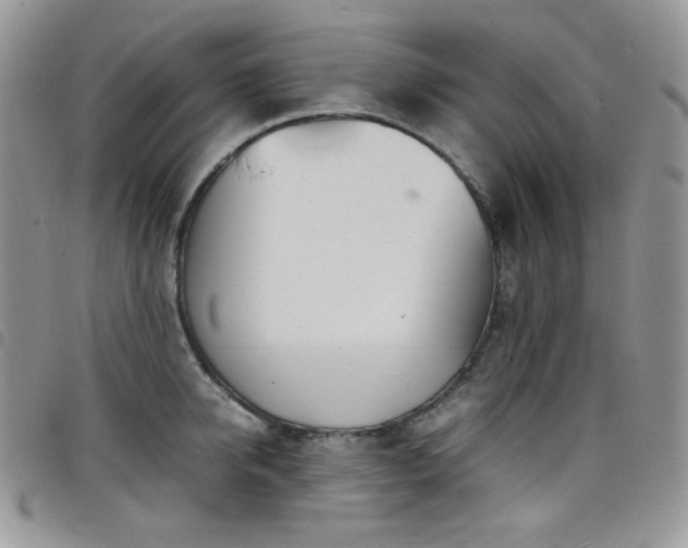 X0000098220950200804241341