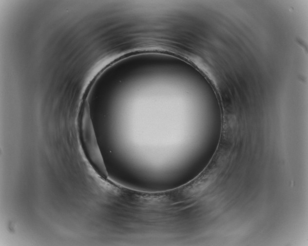 X0000098220951200804241341