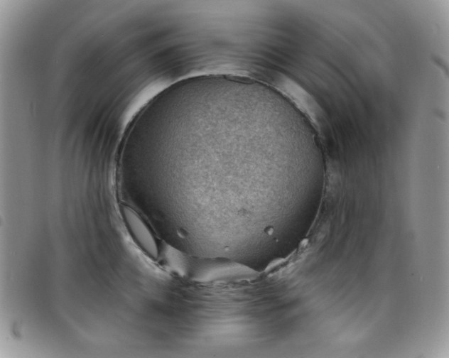 X0000098220952200804241341