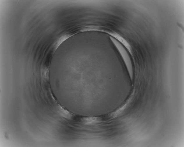 X0000098220953200804241341