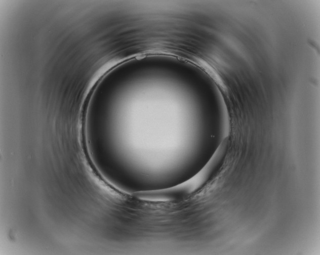 X0000098220955200804241341
