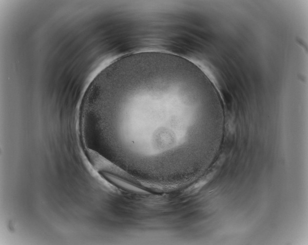 X0000098220957200804241341