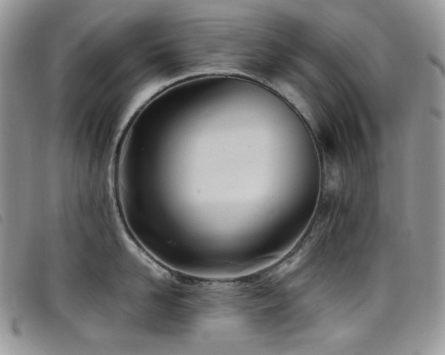 X0000098220958200804241341