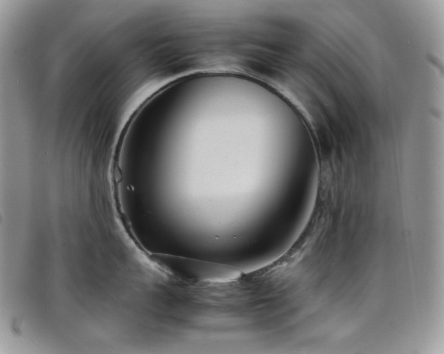 X0000098220959200804241341