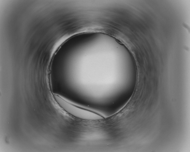 X0000098220960200804241341