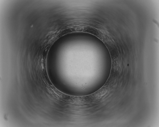 X0000098220962200804241340