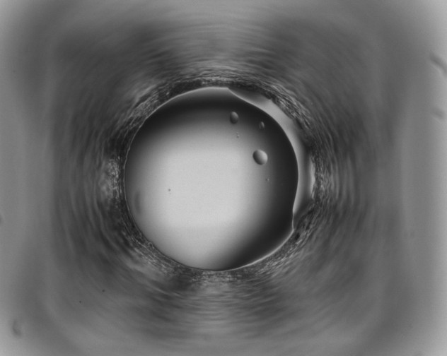 X0000098220964200804241340