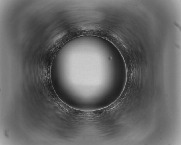 X0000098220966200804241340