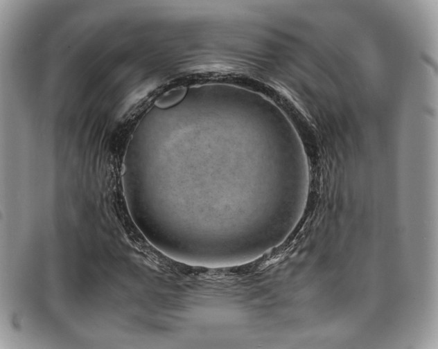 X0000098220967200804241340
