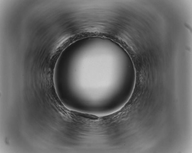 X0000098220968200804241340