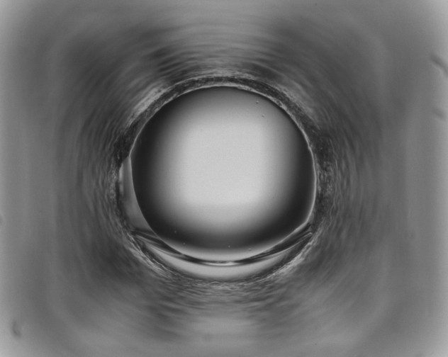 X0000098220969200804241340