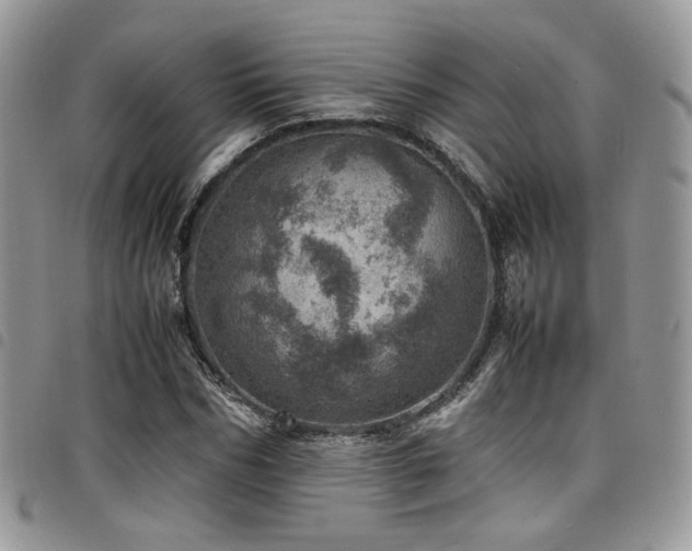 X0000098220970200804241340