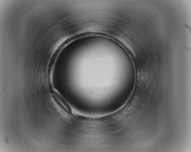 X0000098220972200804241340