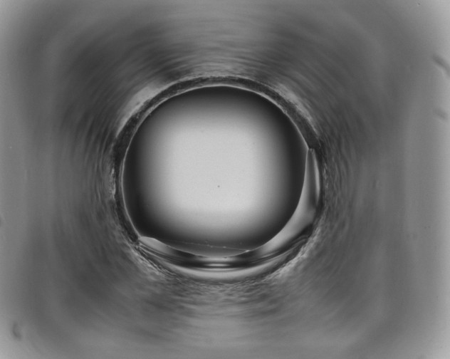 X0000098220973200804241340