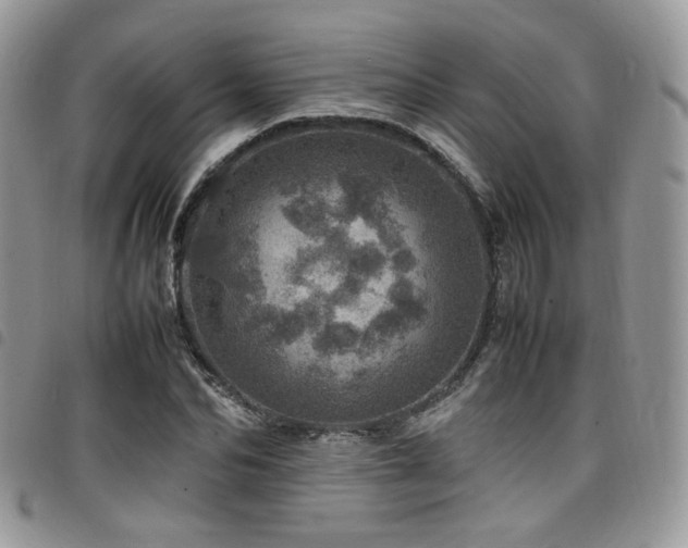 X0000098220974200804241340