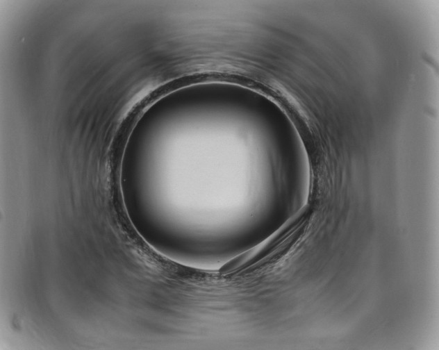 X0000098220975200804241340