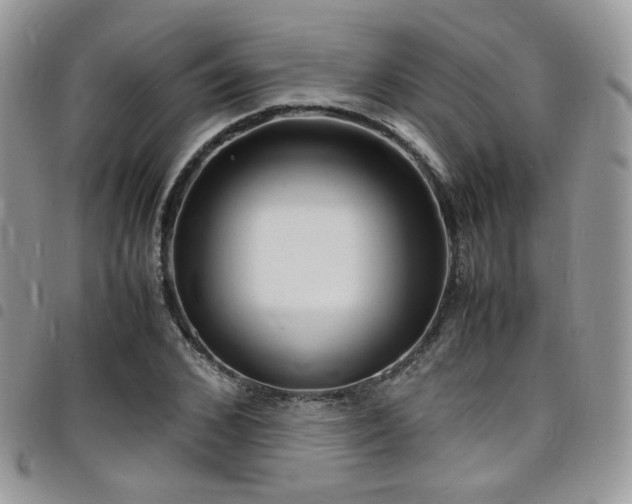 X0000098220976200804241340