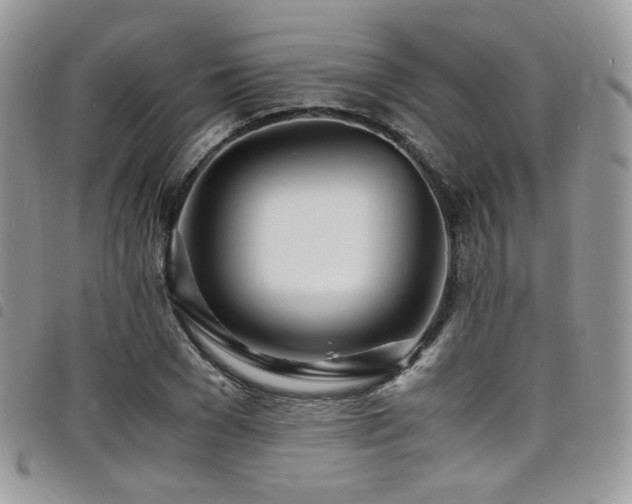 X0000098220977200804241340