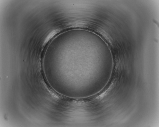 X0000098220978200804241340