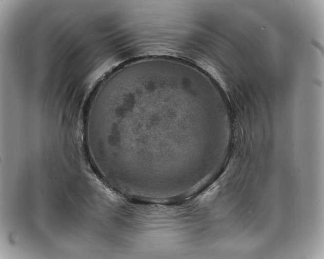 X0000098220979200804241340