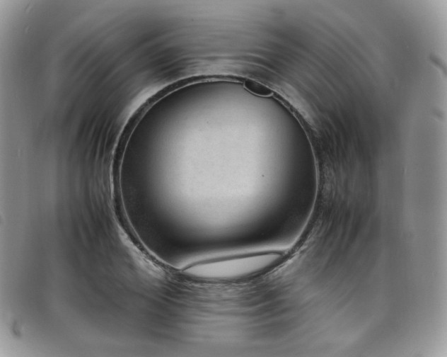 X0000098220980200804241340
