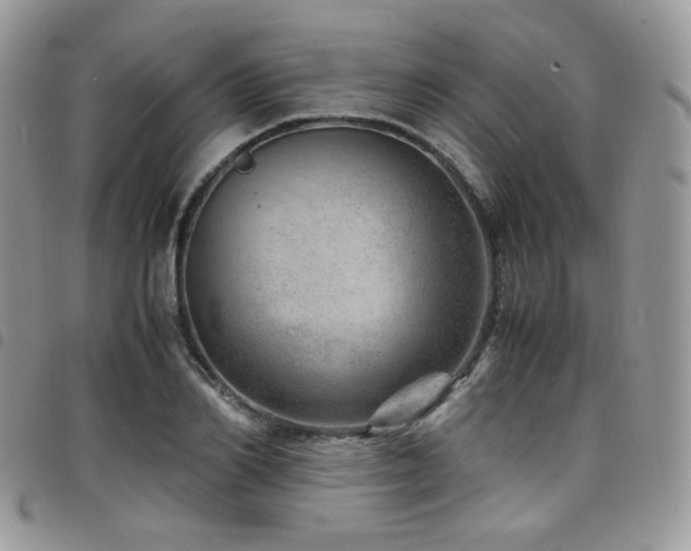 X0000098220982200804241340