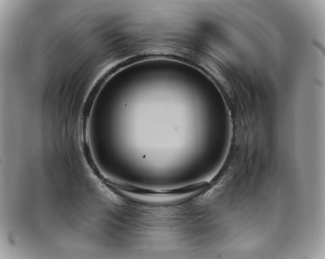 X0000098220984200804241340