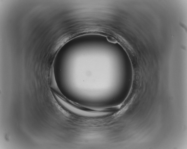 X0000098220985200804241340
