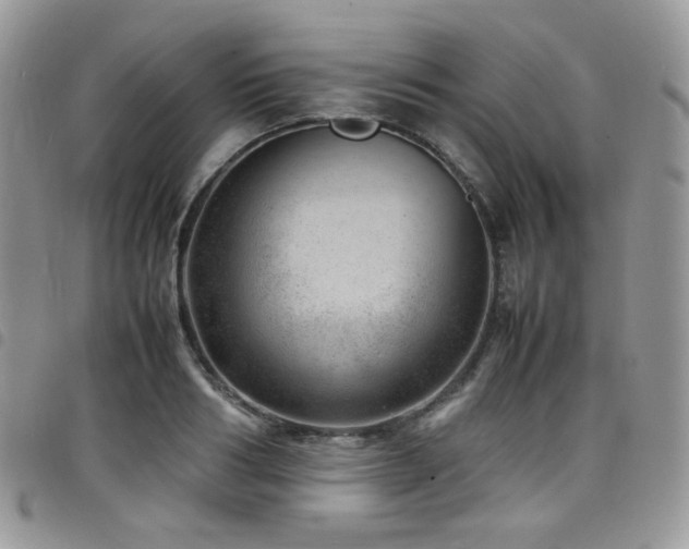 X0000098220986200804241340