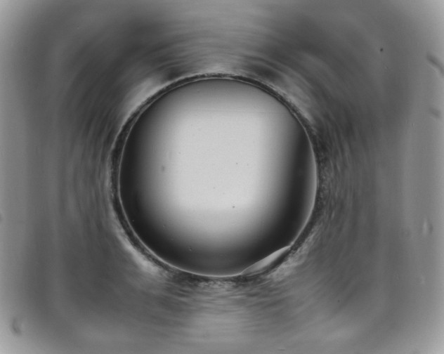 X0000098220991200804241340