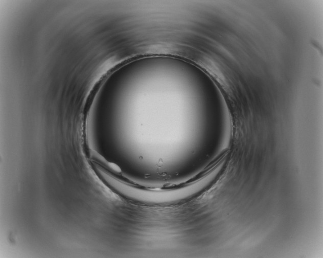 X0000098220992200804241340