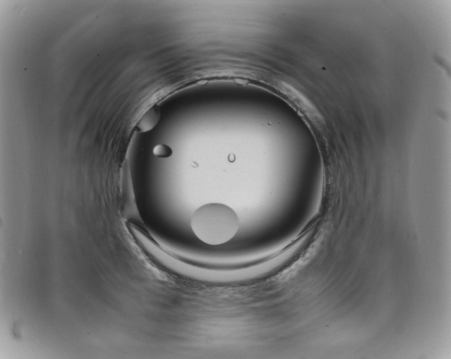 X0000098220993200804241340